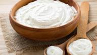 صورة مقال كيف تصنع الزبادي