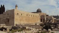 صورة مقال كم باب للمسجد الأقصى