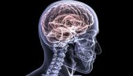 صورة مقال التهاب الدماغ