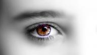 صورة مقال حساسية العين للضوء
