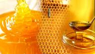 صورة مقال كيف نعرف العسل الأصلي