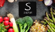 صورة مقال أهم مصادر الكبريت الغذائية
