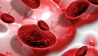 صورة مقال أهمية الدم في جسم الإنسان