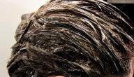 صورة مقال كم تترك الصبغة على الشعر