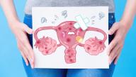 صورة مقال أمراض الرحم وأعراضها
