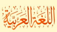 صورة مقال أجمل ما قرأت عن اللغة العربية
