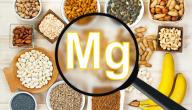 صورة مقال أين يوجد المغنيسيوم والبوتاسيوم