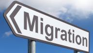 صورة مقال بحث حول الهجرة السرية
