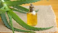 صورة مقال زيت الصبار لتطويل الشعر