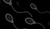 صورة مقال أسباب تشوه الحيوان المنوي