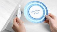 صورة مقال كيف أحسب الحمل