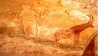 صورة مقال اثار ما قبل التاريخ في الجزائر