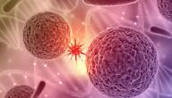 صورة مقال ما هو السرطان الحميد والخبيث