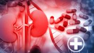 صورة مقال ارتفاع وظائف الكلى وعلاجها