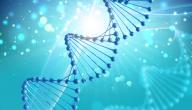صورة مقال ما هو علم الوراثة