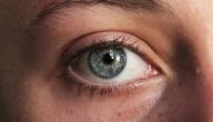 صورة مقال أجزاء العين الخارجية
