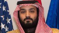 صورة مقال معلومات عن محمد بن سلمان