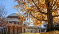صورة مقال جامعة فرجينيا (جامعة عامة وموقع تراث عالمي في أمريكا)