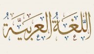 صورة مقال أشهر علماء اللغة العربية