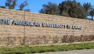 صورة مقال الجامعة الأمريكية في مصر