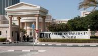 صورة مقال الجامعة الأمريكية في دبي