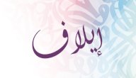 صورة مقال معنى اسم إيلاف