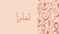 صورة مقال معنى اسم تمارا