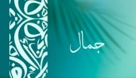 صورة مقال معنى اسم جمال