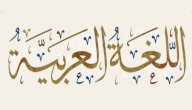 صورة مقال أصل اللغة العربية