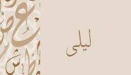 صورة مقال معنى اسم ليلى