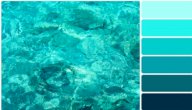 اللون الفيروزي و درجاته