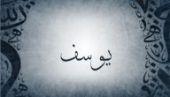 ما معنى اسم يوسف؟
