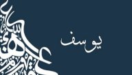 صورة مقال معنى اسم يوسف