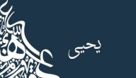 صورة مقال معنى اسم يحيى