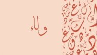 صورة مقال معنى اسم ولاء