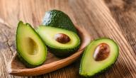 أنواع الأفوكادو