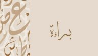 صورة مقال معنى اسم براءة