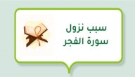 صورة مقال سبب نزول سورة الفجر