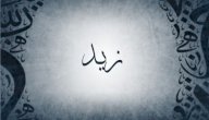 صورة مقال معنى اسم زيد