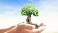 صورة مقال بحث عن البيئة الصحية