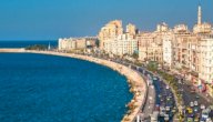صورة مقال مناطق وأحياء الإسكندرية