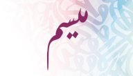 صورة مقال معنى اسم ميسم