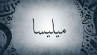 صورة مقال معنى اسم ميليسا
