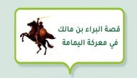 صورة مقال قصة البراء بن مالك في معركة اليمامة