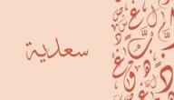 صورة مقال معنى اسم سعدية