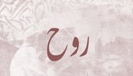 صورة مقال معنى اسم روح