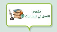 مفهوم النسق في اللسانيات