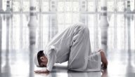 صورة مقال تفسير رؤية الصلاة بدون وضوء في المنام
