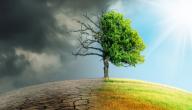 تأثير تغير المناخ على البيئة