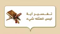 صورة مقال تفسير آية ليس كمثله شيء